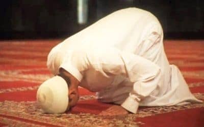 INCREASE YOUR PROSTRATIONS
