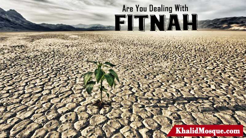 Are You Dealing With Fitnah?