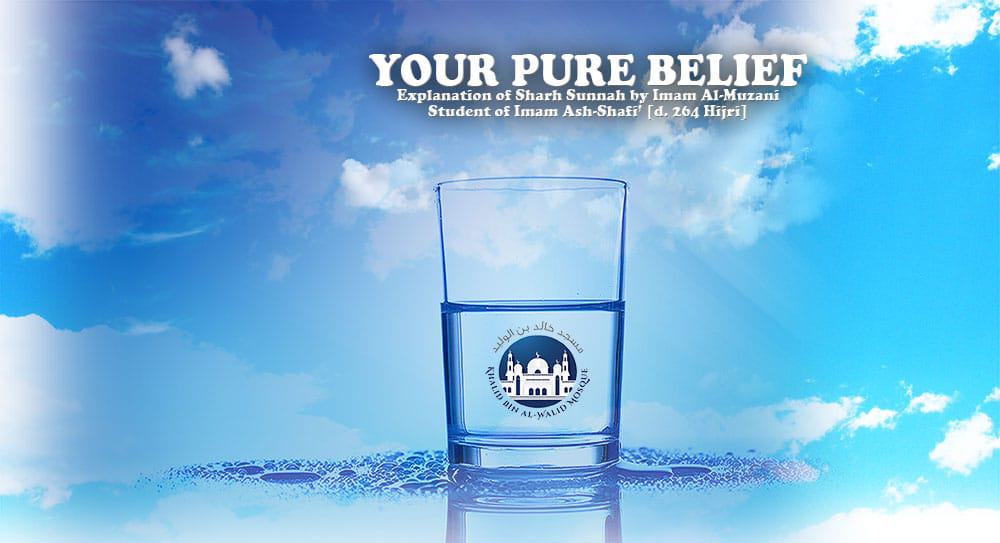 Your Pure Belief